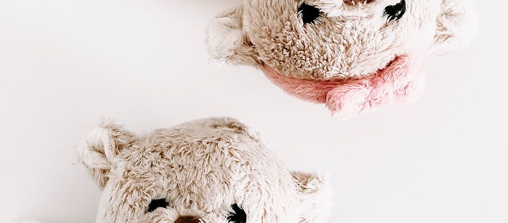 about-teddy about-teddy