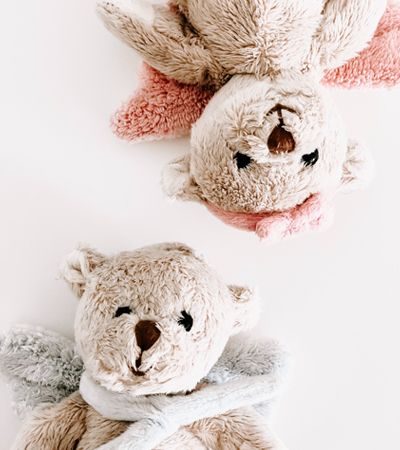 teddy-about-frame teddy-about-frame